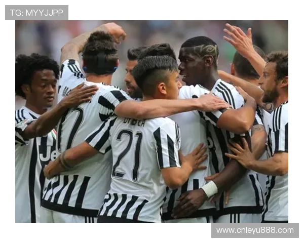 乐鱼官方大巴黎赞助商合作的成功案例分析，学习合作背后的策略与运营经验